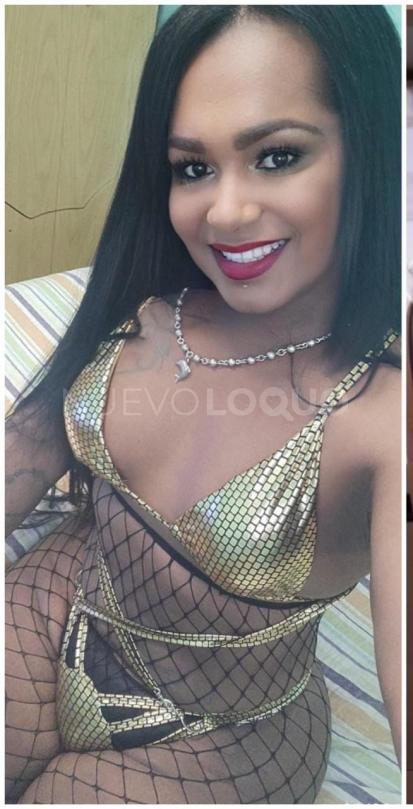 NuevoLoquo2