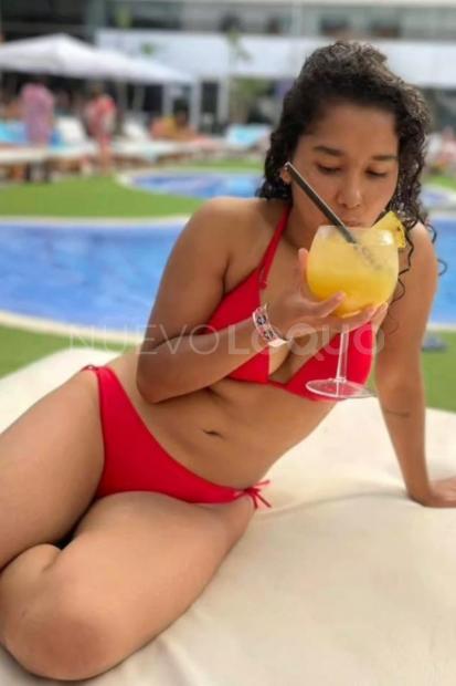 NuevoLoquo4