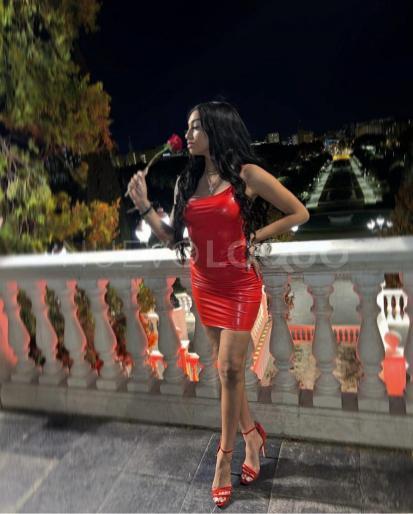 NuevoLoquo2