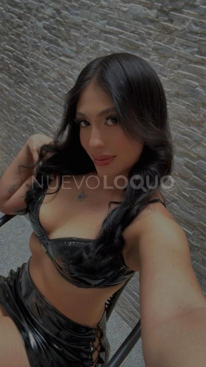 NuevoLoquo3