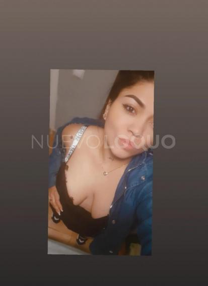 NuevoLoquo1