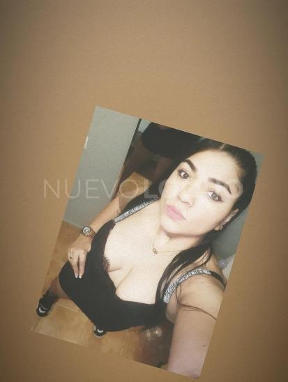 NuevoLoquo3