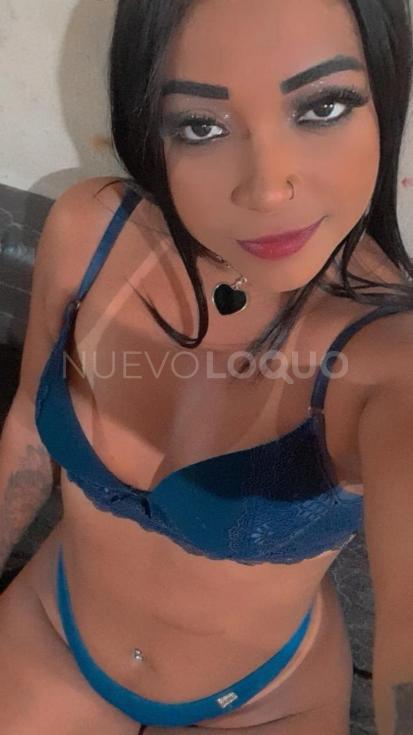 NuevoLoquo4