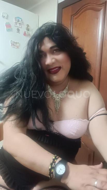 NuevoLoquo2