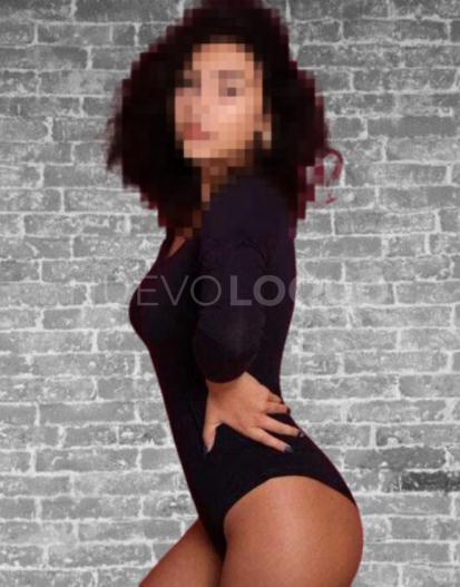 NuevoLoquo1