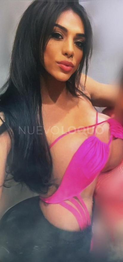 NuevoLoquo3