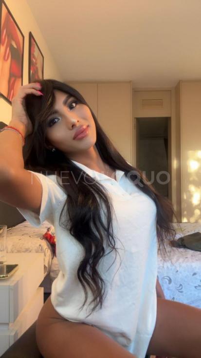 NuevoLoquo1