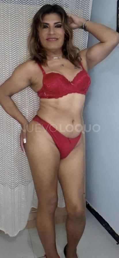 contactos pasion