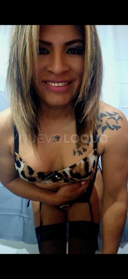 NuevoLoquo5