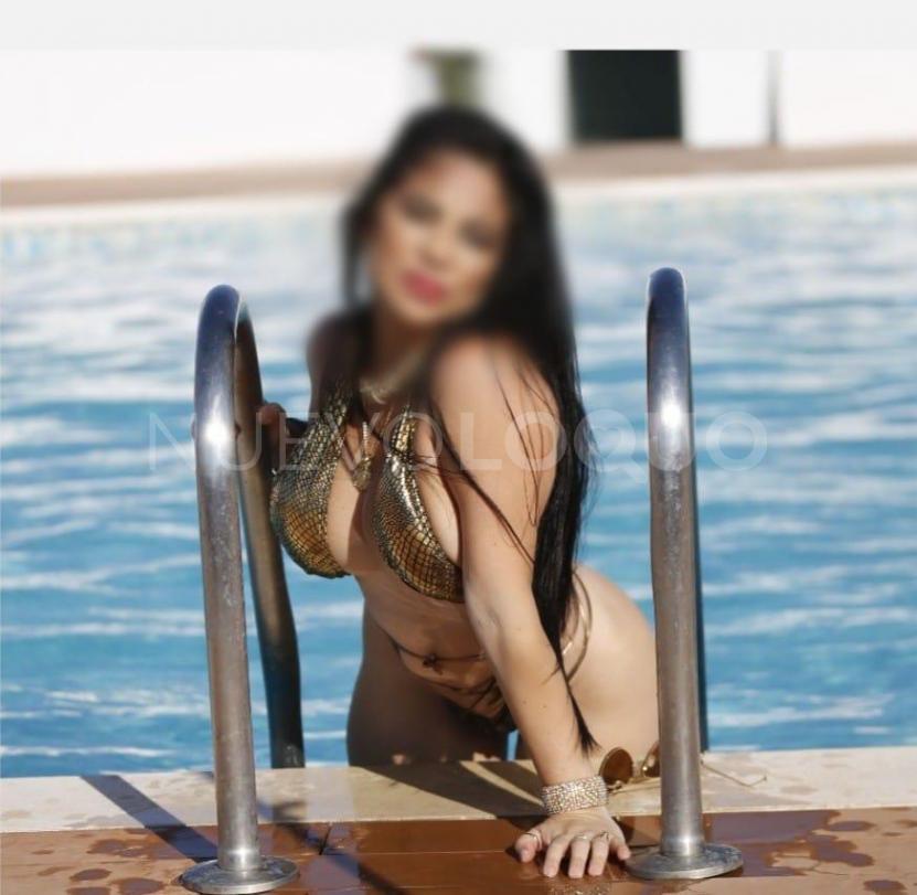 NuevoLoquo3