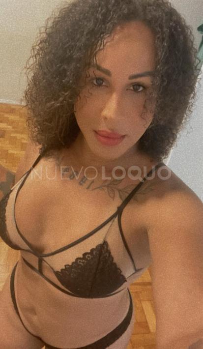 NuevoLoquo3
