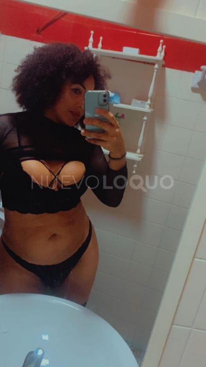 NuevoLoquo4