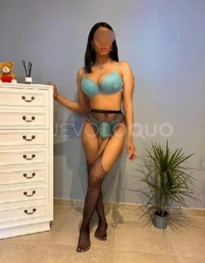 NuevoLoquo3
