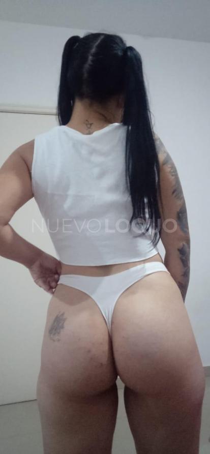 NuevoLoquo1