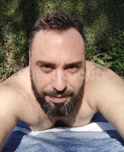 NuevoLoquo3