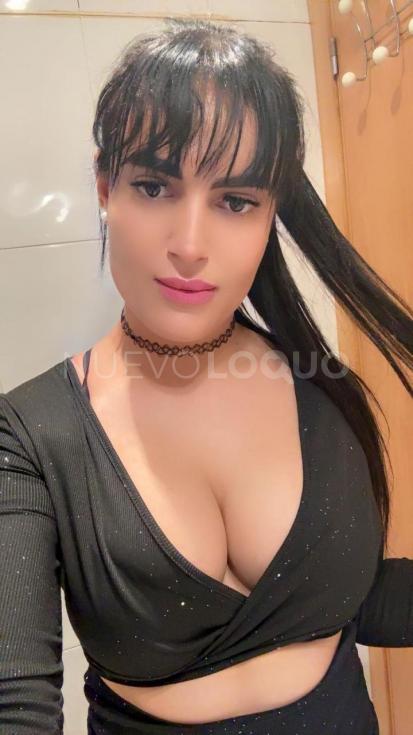 NuevoLoquo5