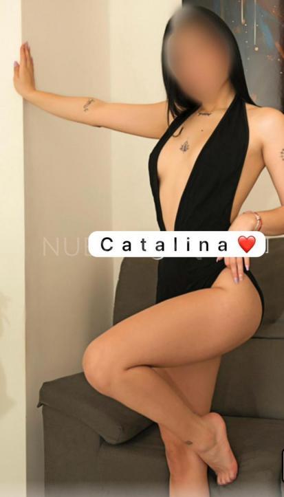 NuevoLoquo2
