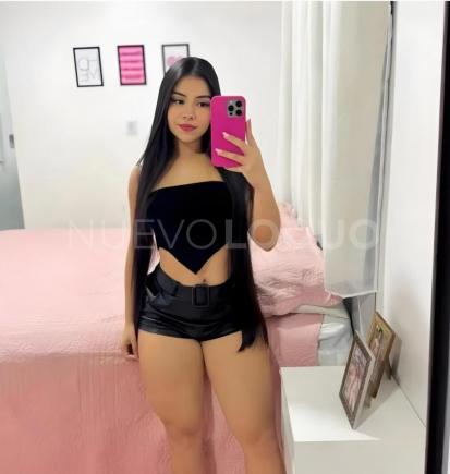 NuevoLoquo3