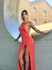 Modelo Trans Fitness Masajista