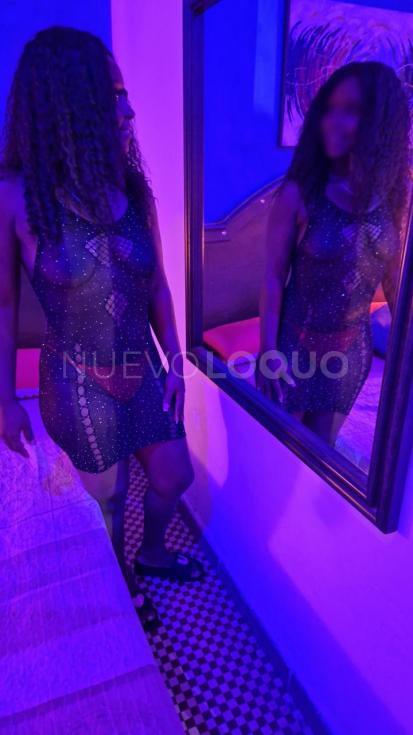 NuevoLoquo3