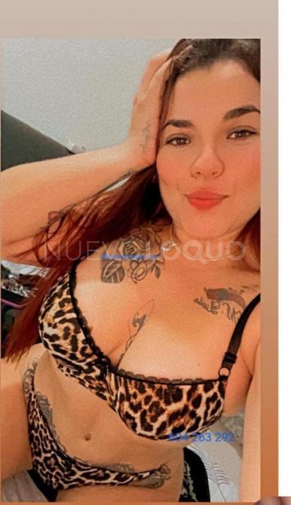 NuevoLoquo3