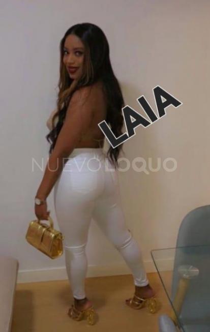 NuevoLoquo3