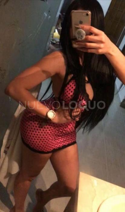 NuevoLoquo2