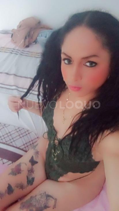 NuevoLoquo1