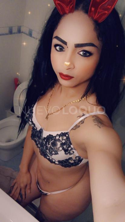 NuevoLoquo2