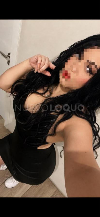 NuevoLoquo2
