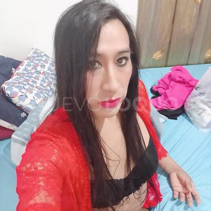 NuevoLoquo3