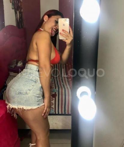NuevoLoquo2
