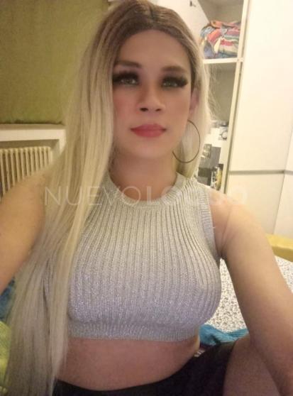 NuevoLoquo2