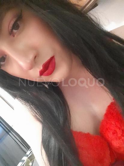 NuevoLoquo4