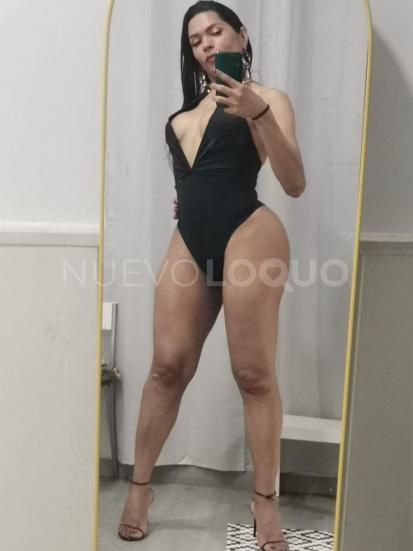 NuevoLoquo3