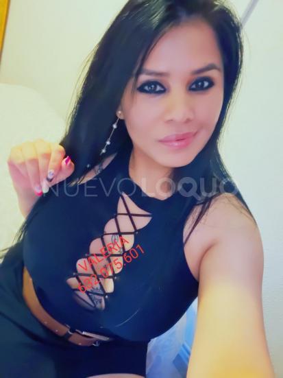 NuevoLoquo3