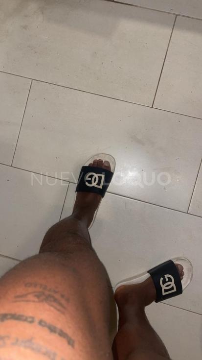 NuevoLoquo3