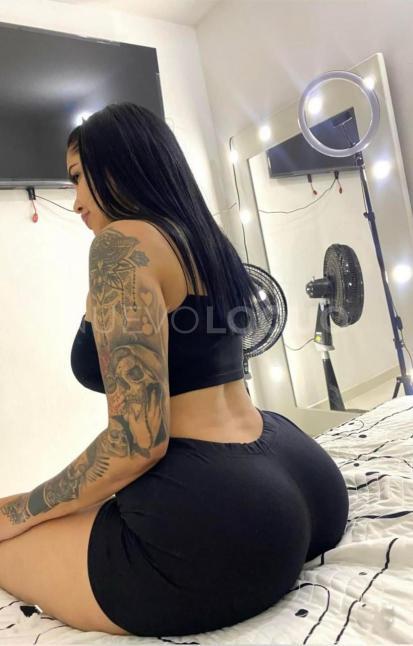  Aroa colombiana en lugo