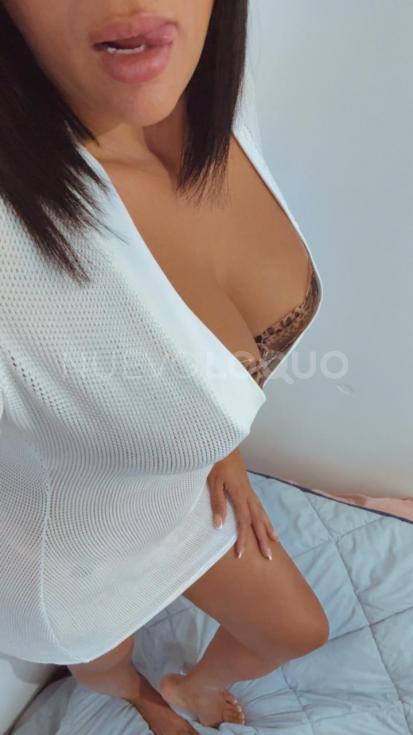 NuevoLoquo3
