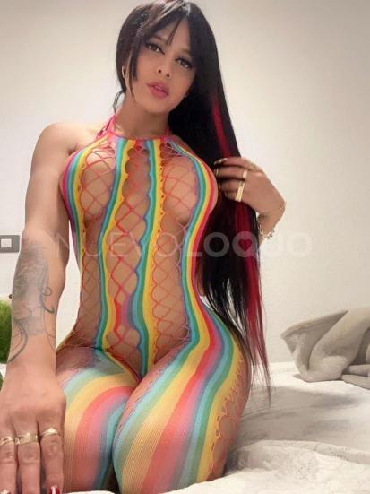 NuevoLoquo3