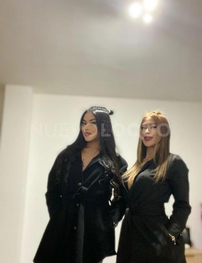 NuevoLoquo2
