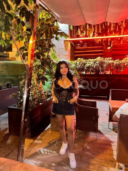 NuevoLoquo2