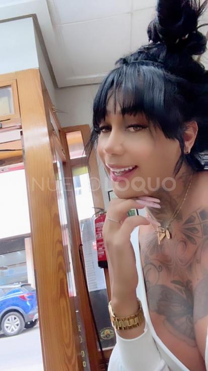 NuevoLoquo3