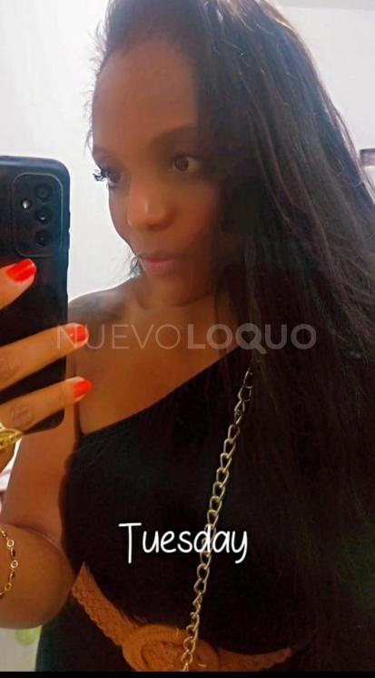 NuevoLoquo2