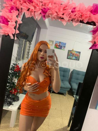 NuevoLoquo5