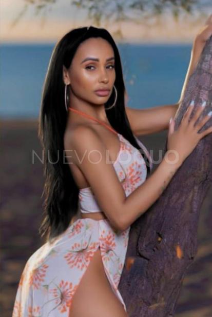 NuevoLoquo2