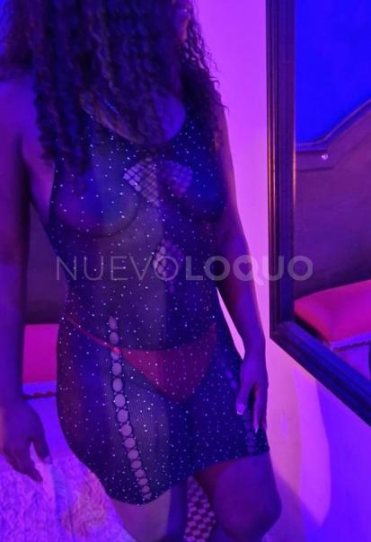 NuevoLoquo3