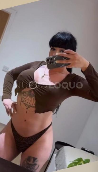 NuevoLoquo3