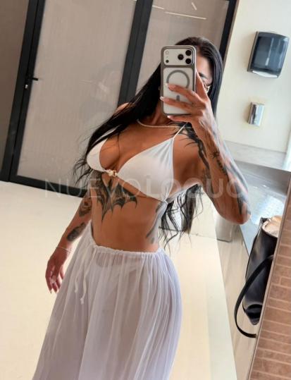 NuevoLoquo3