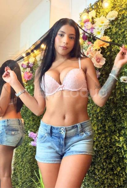 NuevoLoquo5
